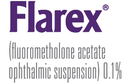 Flarex Logo 2025